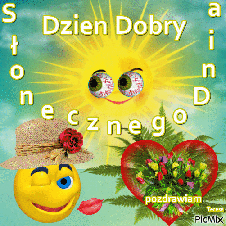 Dzień dobry słonecznego dnia pozdrawiam